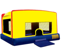 Indoor-Outdoor Bouncer Indoor-Outdoor Bouncer